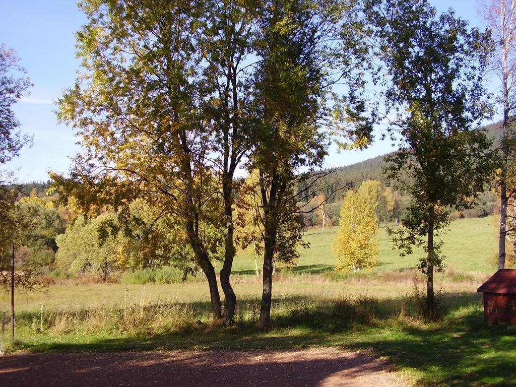 Penzion Bázum Horní Vltavice Exterior foto