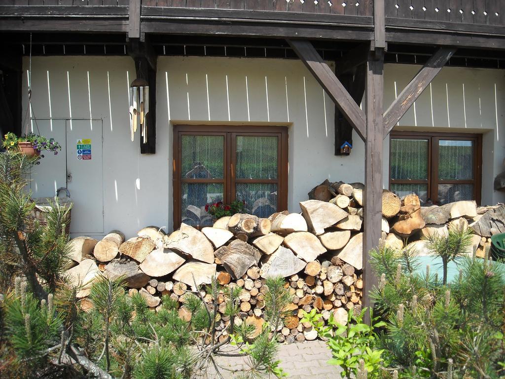 Penzion Bázum Horní Vltavice Exterior foto