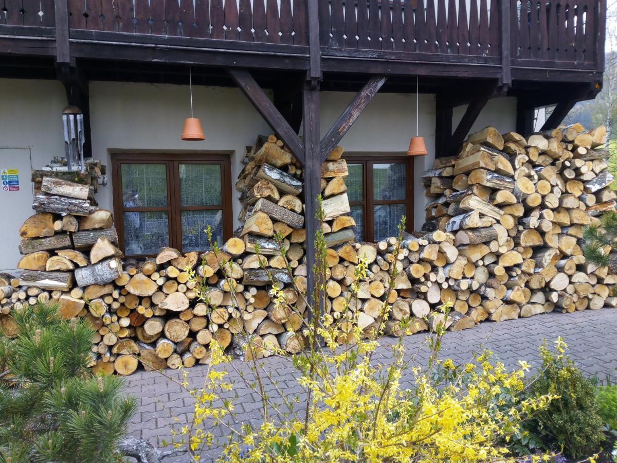 Penzion Bázum Horní Vltavice Exterior foto